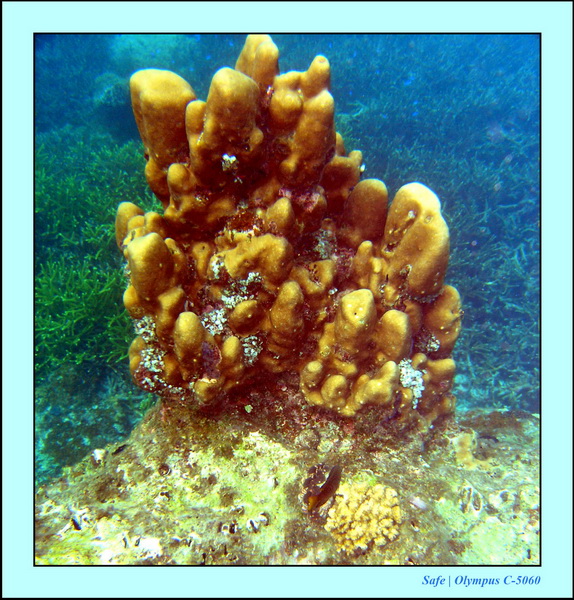 2005 - 08 - Redang  - 067.JPG